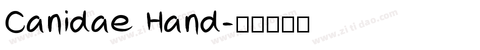 Canidae Hand字体转换